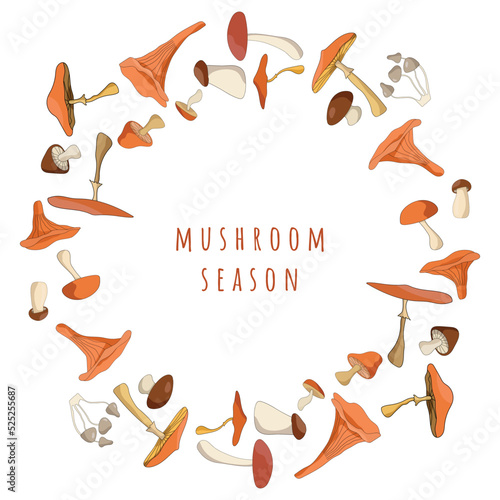 Autumn mushroom paintings