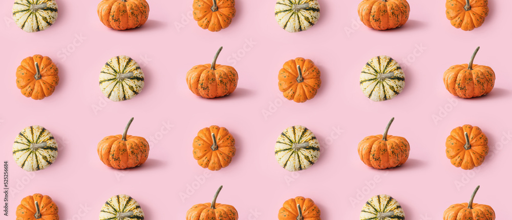 Many pumpkins on pink background. Pattern for design Many pumpkins on pink background. Pattern for design