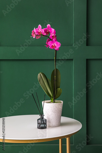 Orchid flower and reed diff...