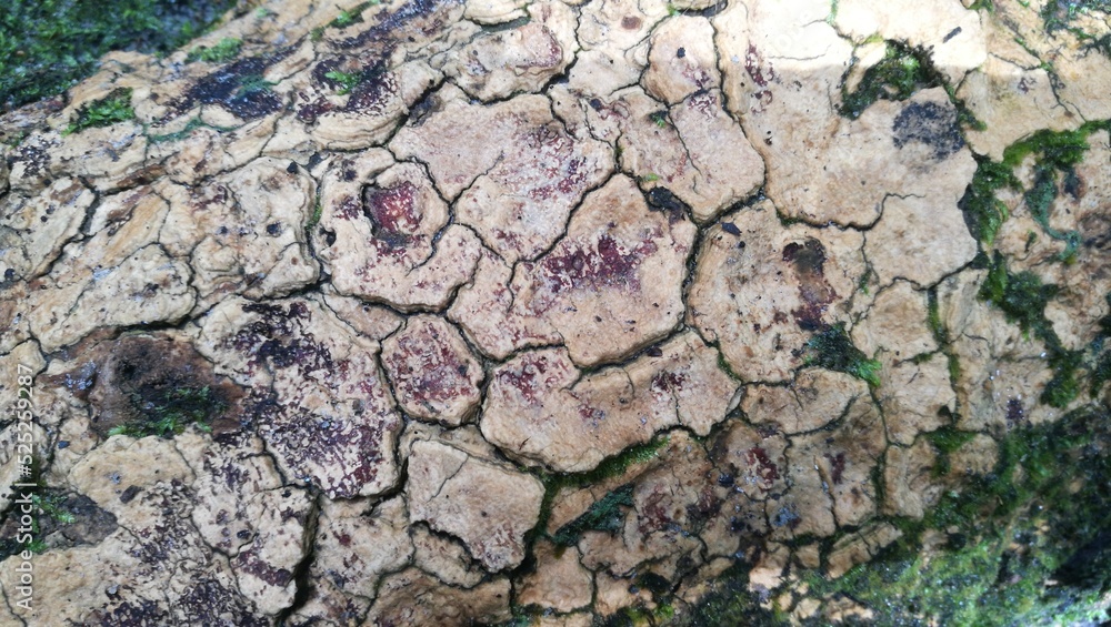 Valokuva Pegmatite mineral stone texture pattern macro view