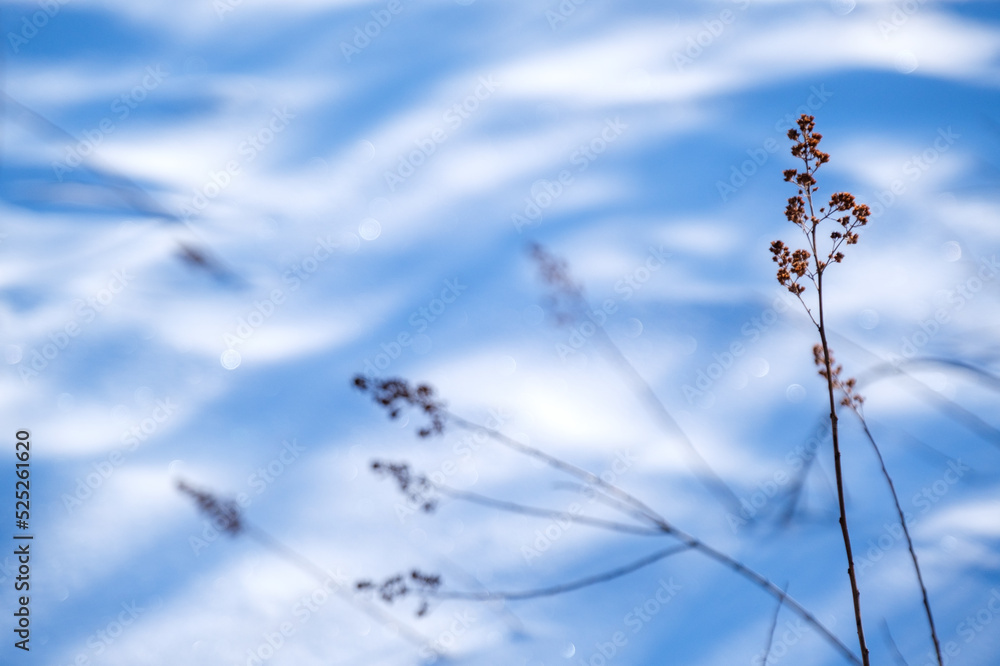 Obraz premium 夜明けの雪景色