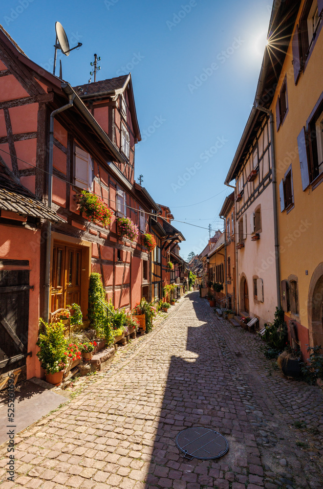 Fototapeta premium street in the charming oldtown of Eguisheim in Alsace