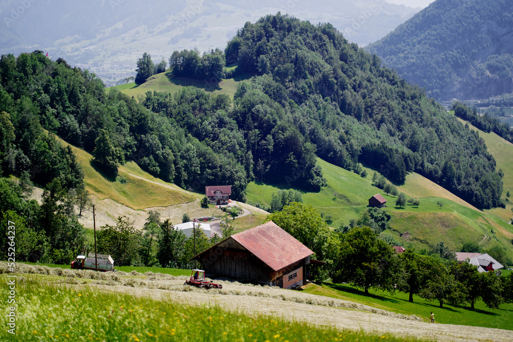 Obraz premium Beautiful summer landscape with houses on green field, Swiss Alps Mountains.