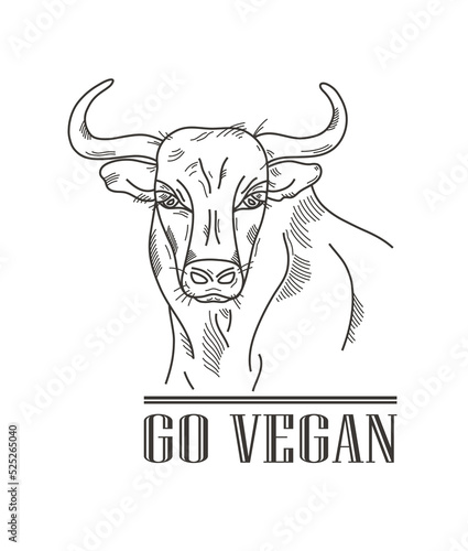 Poster with bull sketch portrait black and white and text go vegan on beige background. Vector illustration