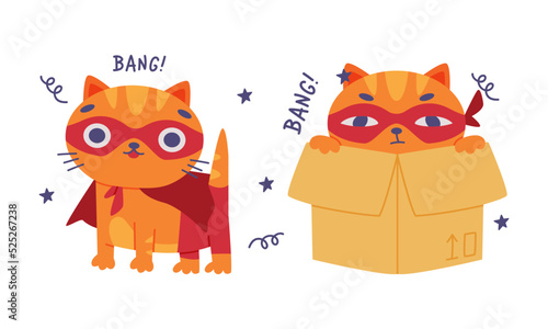 Cute red cat superhero. Funny pet animal character in red mask and cape, kitten hiding in cardboard box cartoon vector illustration