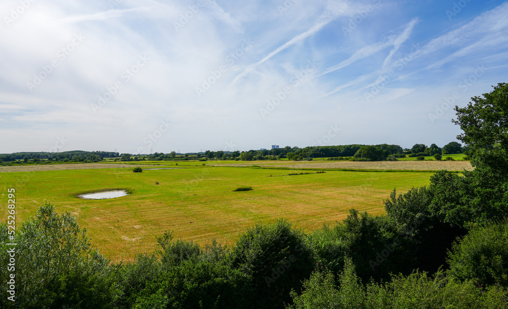 Fototapeta premium Ahsewiesen nature reserve in the Lippetal. Landscape with fields and meadows.