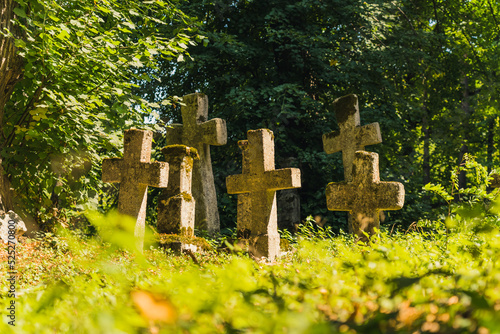 Abandoned greveyard from 1800s. Cross-shaped moss-covered gravestones in lush green forest obscured by tall grass. Horizontal outdoor shot. High quality photo photo