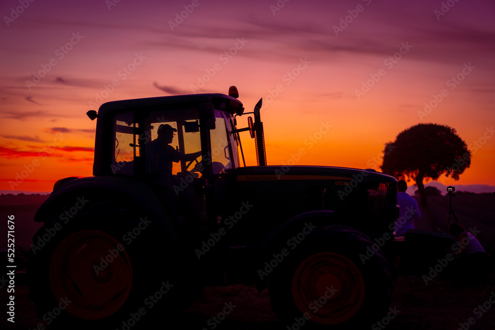 Obraz premium A harvester cutting the crop at sunset in a lavender field, nature photography