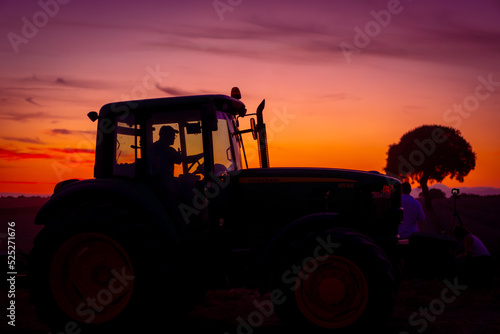 A harvester cutting the crop at sunset in a lavender field, nature photography © unai