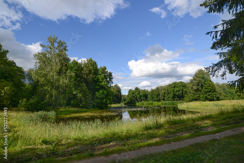 Beautiful summer nature landscape with a overgrown grass pond, lake or river and green forest. Pavlovsk park