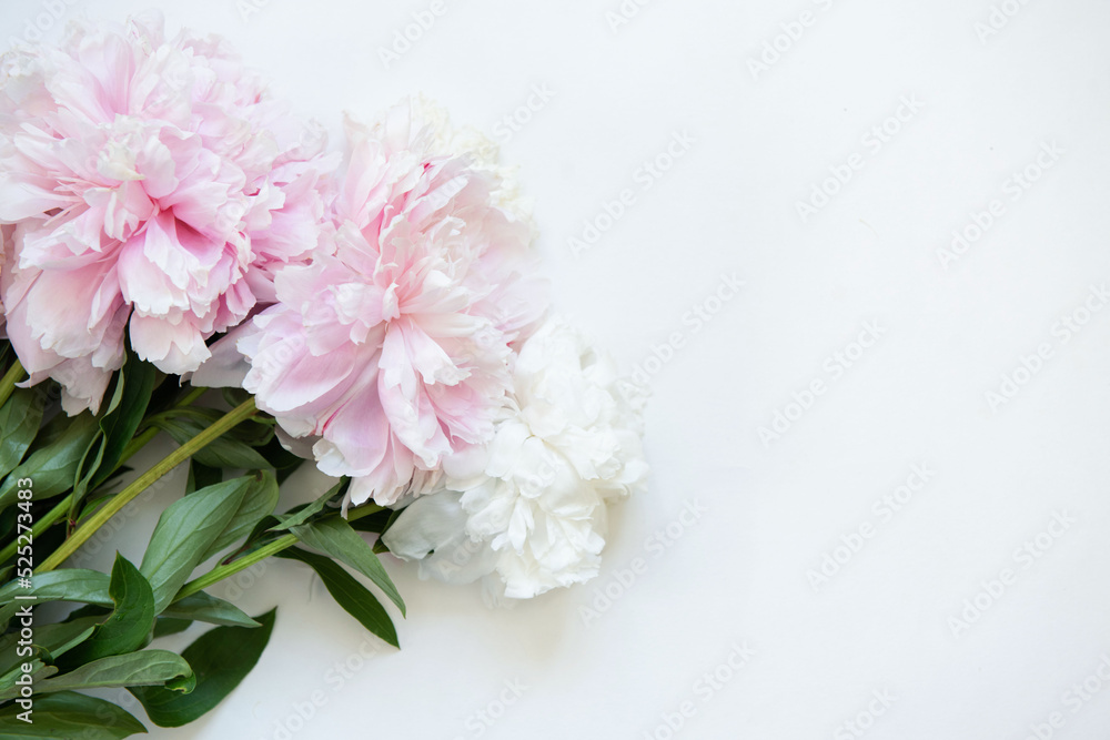 Bouquet of flowers. Pink and white peonies on white background. Beautiful flowers for valentines and wedding scene. Valentines and 8 March Mother Women's Day concept. Bouquet of flowers. Pink and white peonies on white background. Beautiful flowers for valentines and wedding scene. Valentines and 8 March Mother Women's Day concept.