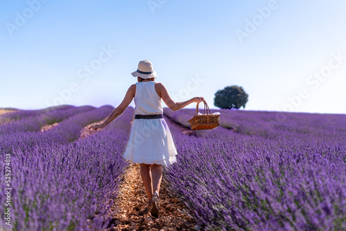 Wallpaper Mural A woman in a summer lavender field with a hat picking flowers, rural lifestyle Torontodigital.ca