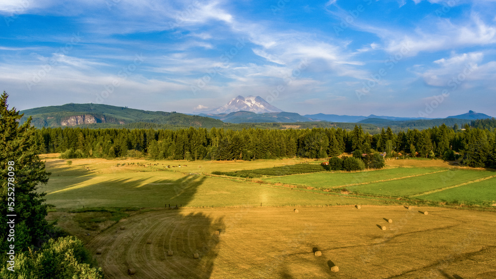 Fototapeta premium Mount Rainier in Washington State 