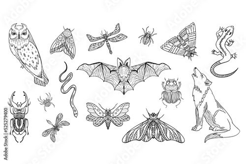 Set of mystical forest animals. Sacred symbols of magical beasts