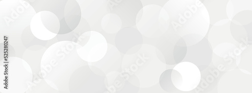 White and grey abstract modern transparency circle presentation background. Vector circles template vector design. Object web design. Round shape.