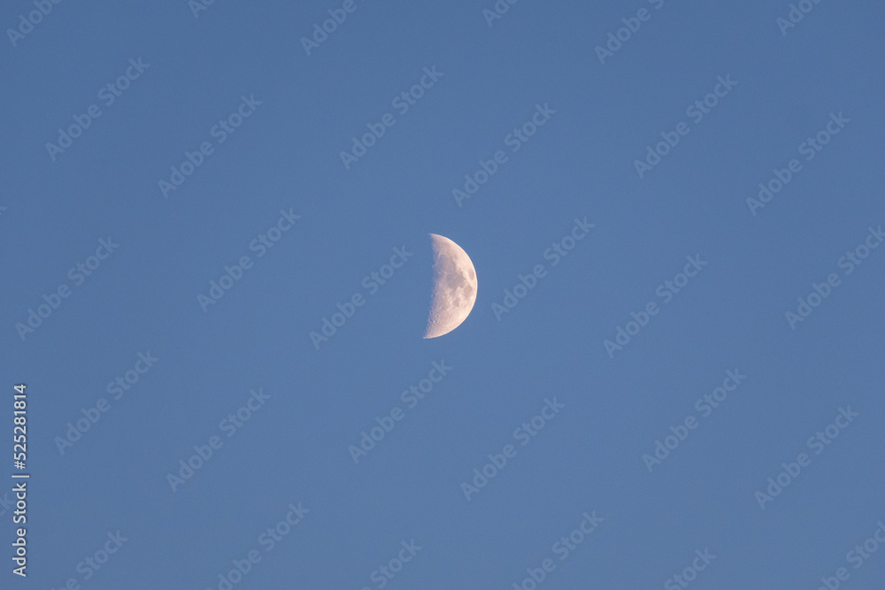 half moon in a blue evening sky half moon in a blue evening sky