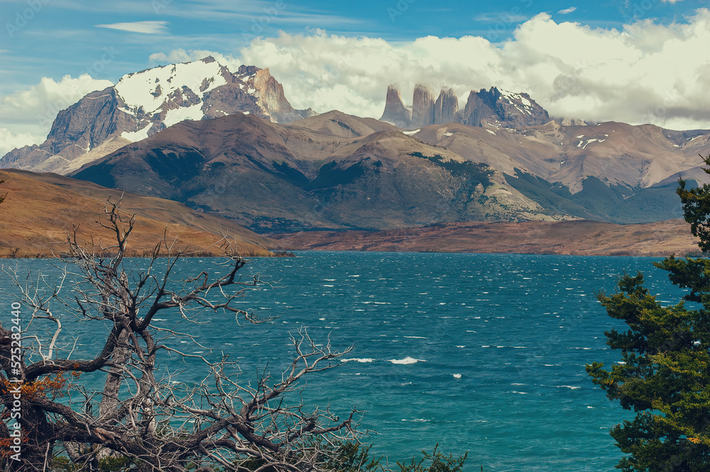 Obraz premium National Park Torres del Paine in southern Chile.