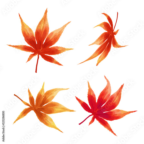 Japanese maple leaf of various colors and shapes in a watercolor style isolated on a white background. Falling leaves Icon. Vector illustration