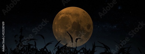 harvest moon september full moon 3d illustration concept