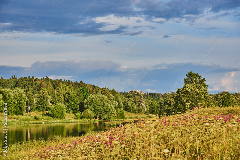 Fototapeta premium Bright summer landscape. The river flows among the blooming banks.