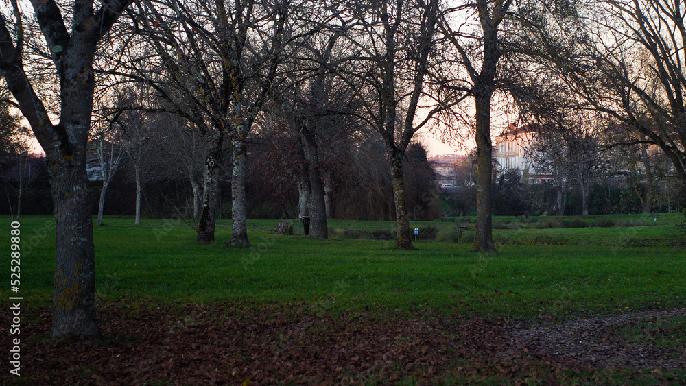 Ville de Condom, aux abords de La Baïse, photographiée en période hivernale