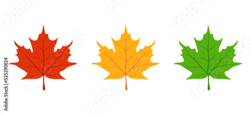 Maple leaf icon set. Red  yellow  green autumn leaves. Simple cartoon flat style. Vector illustration