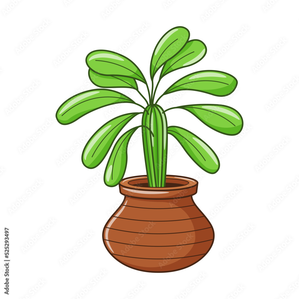 Obraz premium Vector cartoon house plant in pot. Indoor home plant with leaves. Cacti for home and interior. Colorful botanical doodle illustration isolated on white background.