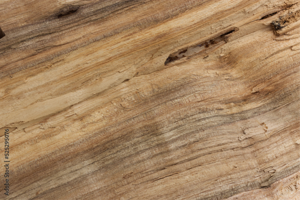 Fototapeta premium texture of wood