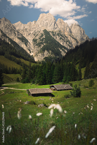 Bindalm in the middle of the Bavarian Alps Berchtesgaden Germany  photo