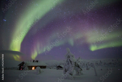 Canvas Print Northern lights in Pallas Yllastunturi National Park, Lapland, Finland
