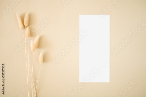 Botanical menu card 4x9 mockup with dried flowers
 photo