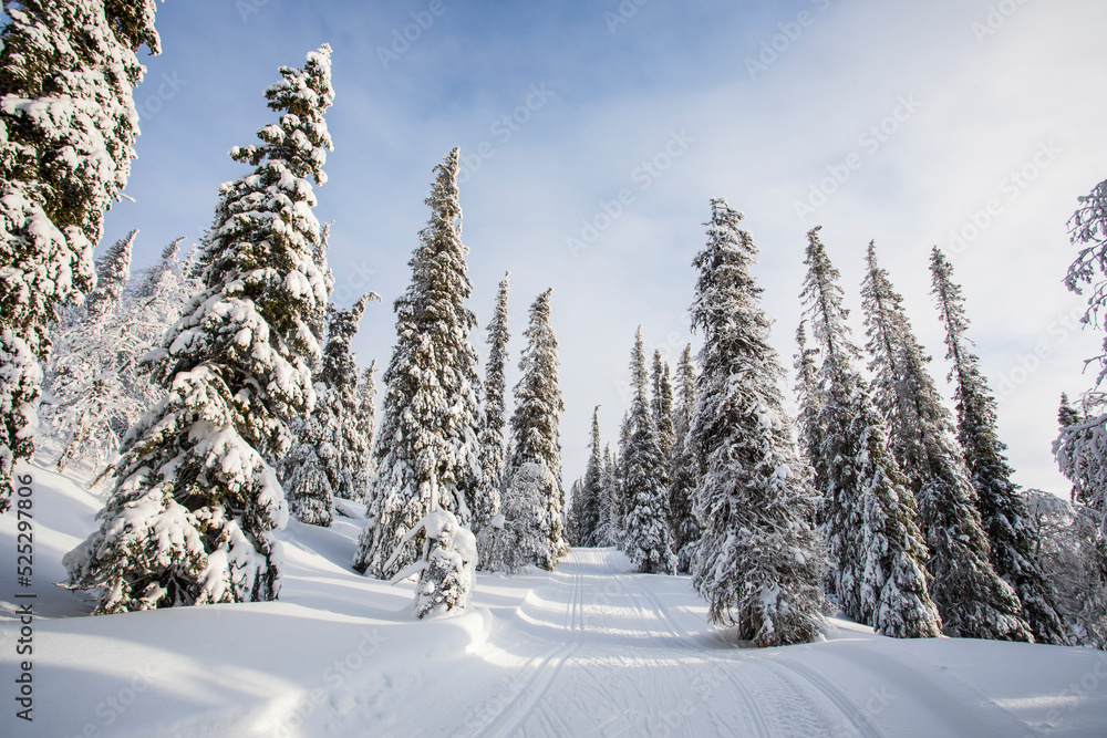 Obraz premium Winter landscape in Pallas Yllastunturi National Park, Lapland, Finland