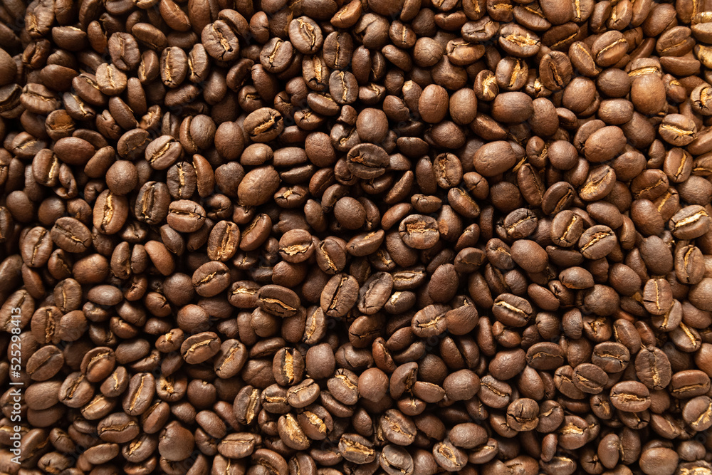 Fototapeta premium コーヒー 豆ケニア、ニエリ、ウォッシュド