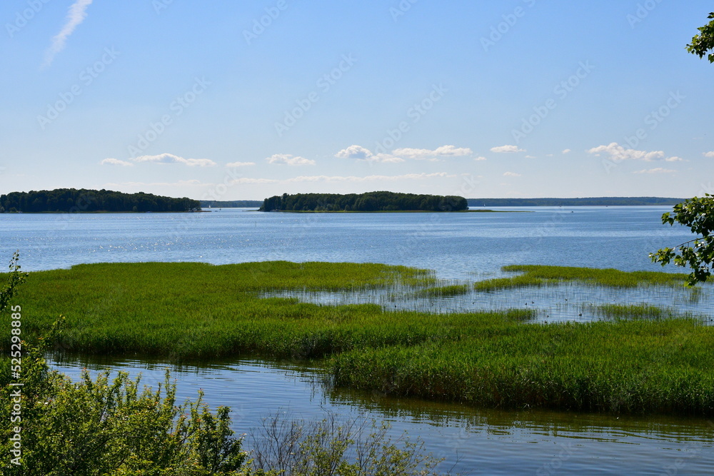 A view of a small pond in the middle of a public park covered from all sides with reeds, plants, and lush trees below the cloudy sky reflecting in the surface of the water seen on a Polish countryside A view of a small pond in the middle of a public park covered from all sides with reeds, plants, and lush trees below the cloudy sky reflecting in the surface of the water seen on a Polish countryside