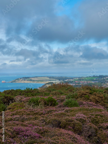 An expanse of multi-coloured, clifftop heather, ahead of sea, the distant headland bearing the small town of Totland and a haze-shrouded horizon.