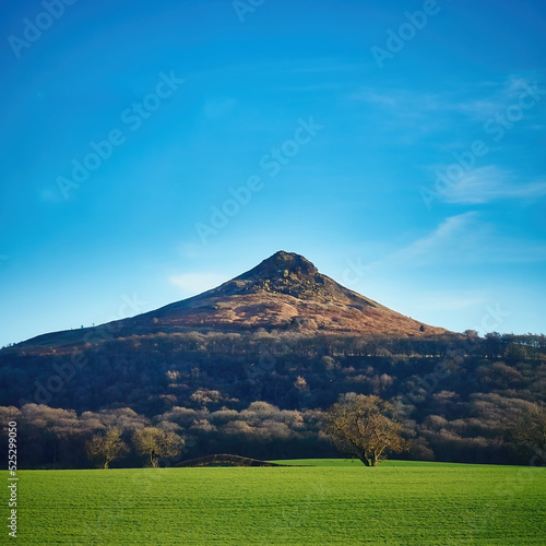 The fields and woodland slopes of Roseberry Topping near the North Yorks Moors  seen in bright  crisp winter sunlight against a saturated blue sky.
