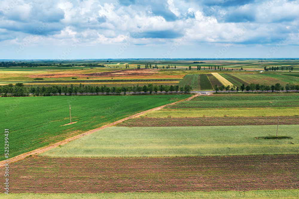 Obraz premium Aerial shot of beautiful countryside landscape with cultivated fields in Banat, geographical region of Vojvodina province in Serbia, drone pov