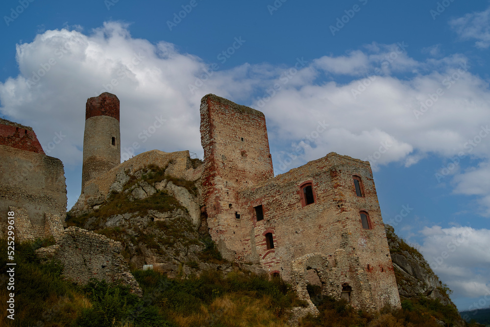 Ruins of the castle 