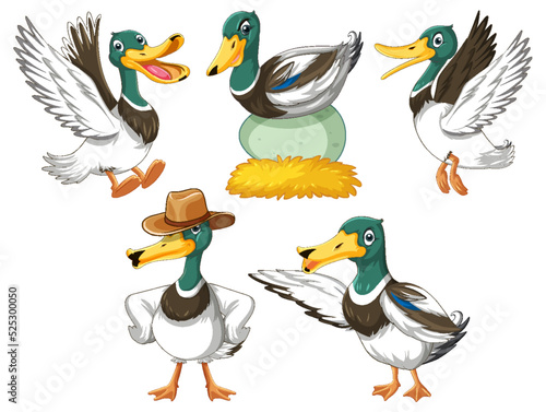 Set of duckling doing different activities