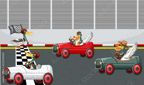 Soap box derby race with ducks cartoon character