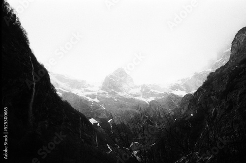 la tête dans les nuages, et les cimes perdu dans la brume 