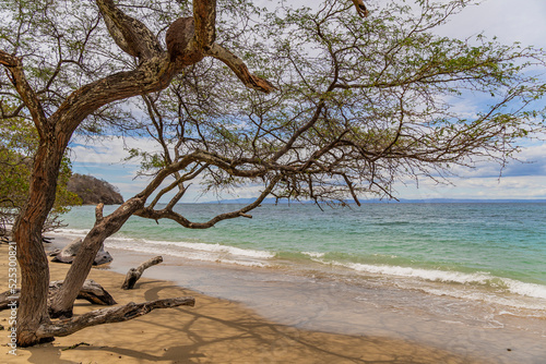 Alone in the beach