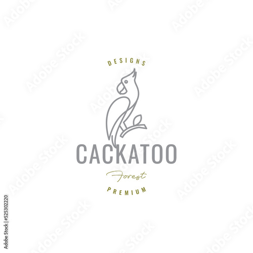 cackatoo with branch logo design vector