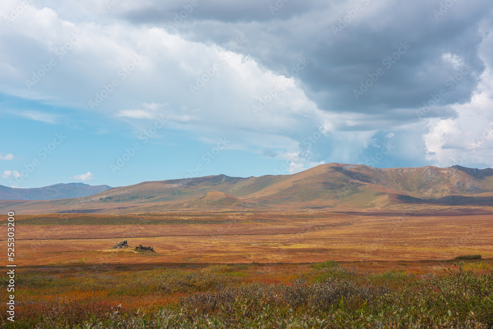 Motley autumn landscape with sunlit high mountain plateau and mountain range under dramatic sky. Vivid autumn colors in mountains. Sunlight and shadows of clouds in changeable weather. Sunny and rainy Motley autumn landscape with sunlit high mountain plateau and mountain range under dramatic sky. Vivid autumn colors in mountains. Sunlight and shadows of clouds in changeable weather. Sunny and rainy