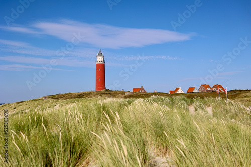 фотографія The lighthouse of the island of Texel in The Netherlands surrounded by tall sand dunes in beautiful sunlight