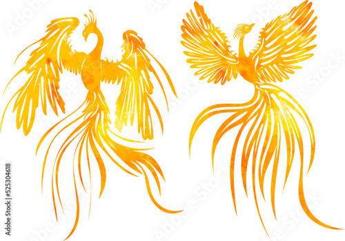 watercolor silhouette phoenix bird isolated, vector