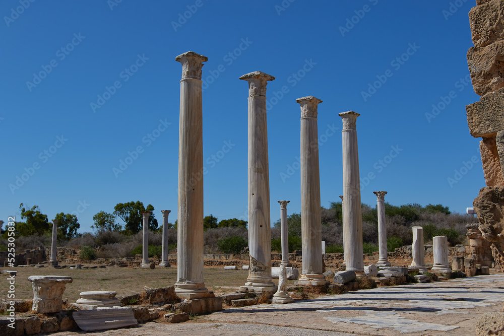 ruins of roman 