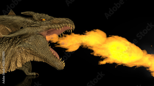 Realistic dragon breathes fire on a black background on a reflective surface. 3d rendering