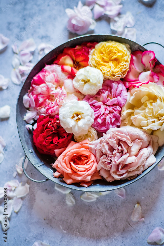 Close up of beautiful pink roses in bowl Close up of beautiful pink roses in bowl
