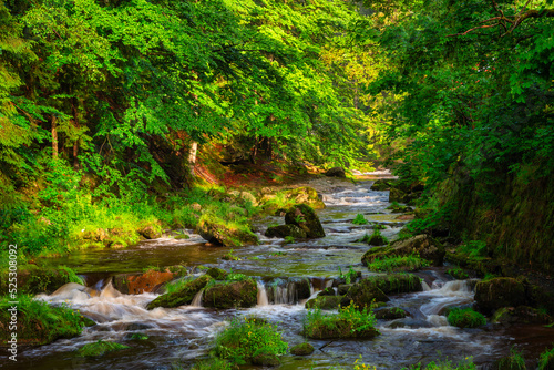 A beautiful mountain stream in the Karkonosze Mountains  Poland